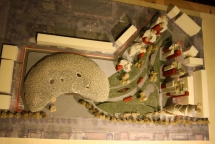 scienza 2